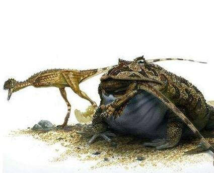 原创最大的青蛙魔鬼蛙长度竟有1米可吃恐龙幼崽