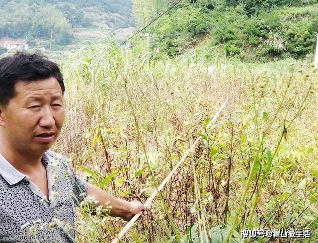 太阳乡深贫保助力贫困户稳定脱贫