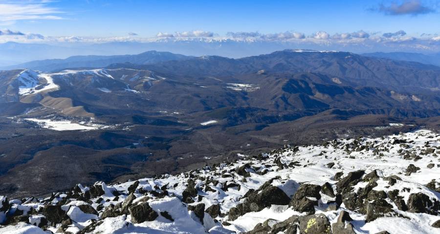 家电业“线下为王”时代又到来了?-家电圈官网