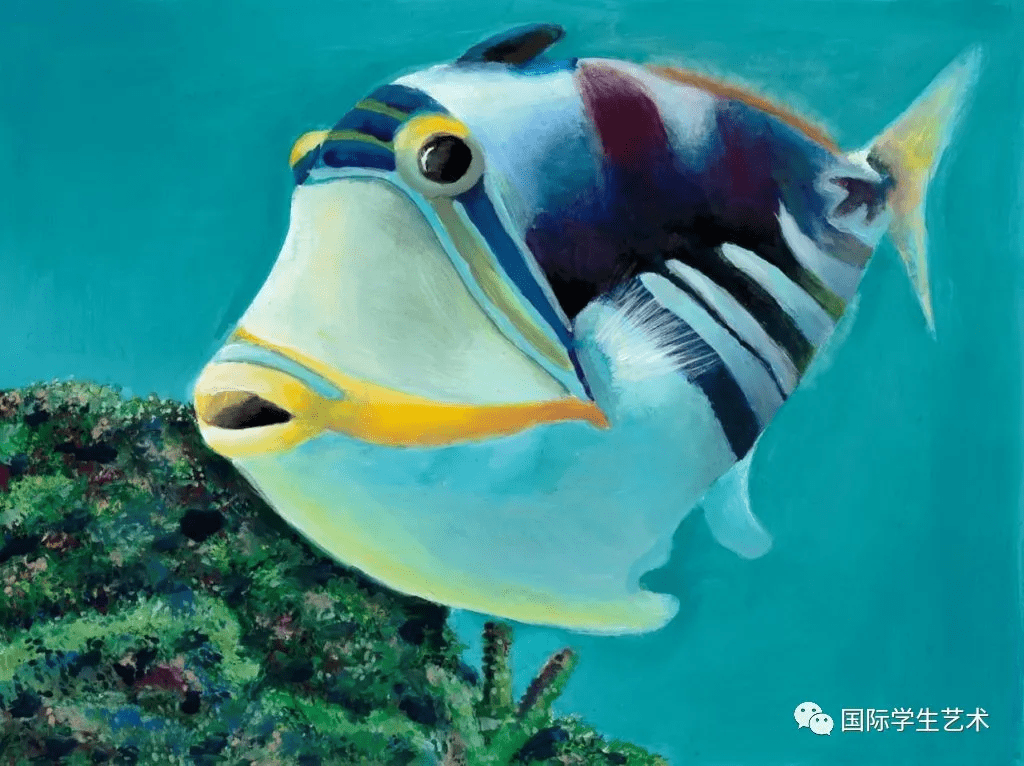 国际学生艺术送选丨美国国家鱼类艺术竞赛获奖作品欣赏