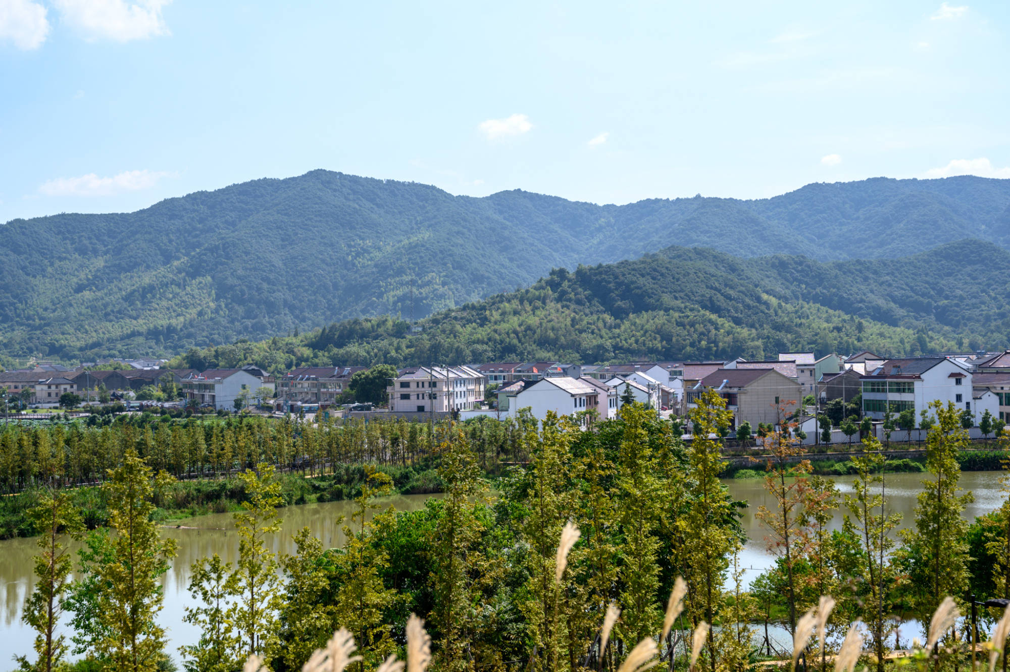 凤凰山考古遗址公园,坐落在上虞区上浦镇大善小坞村凤凰山东麓,为瓷源