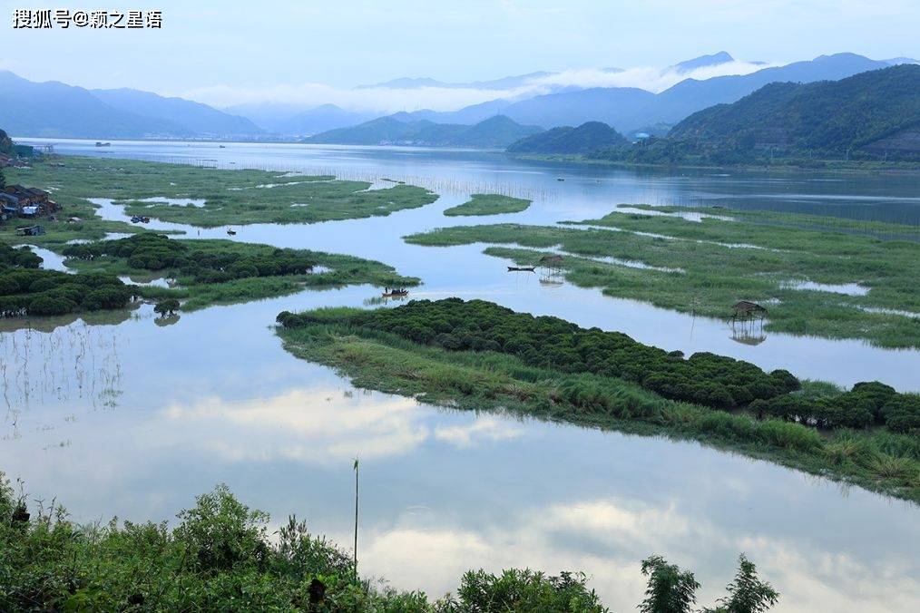 八閩海鮮出霞浦網紅榕樹群海上威尼斯