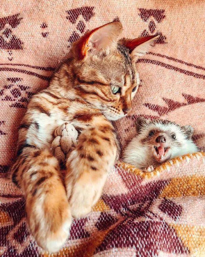 图片[6] - 【xizi被窝段子20200828】别跟往事干杯 往事都快吐了 - xizi