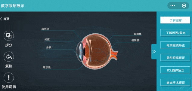 信息对内集合与对外透明:眼球3d可视化解决方案