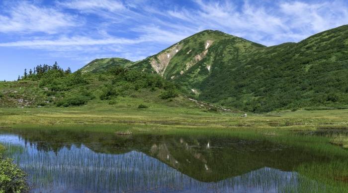 格兰仕要约收购惠而浦，绝不是家电产业“中进西退”那么简单！-家电圈官网