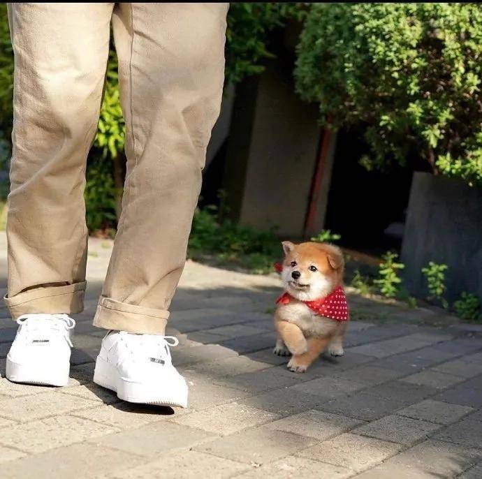 图片[20] - 【xizi被窝段子20200828】别跟往事干杯 往事都快吐了 - xizi