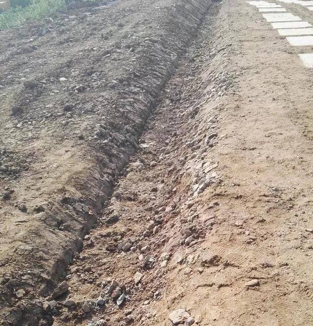 内原地面表层植被,挖除树根,在部分现场地形起伏较大,横坡较明显区域