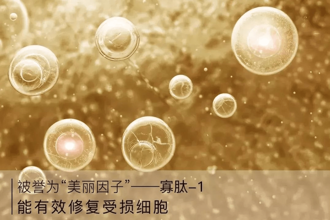 干细胞研究方向_干细胞研究所_干细胞研究