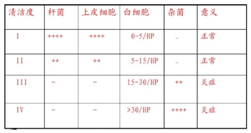 收藏!白带常规检查解读及注意事项