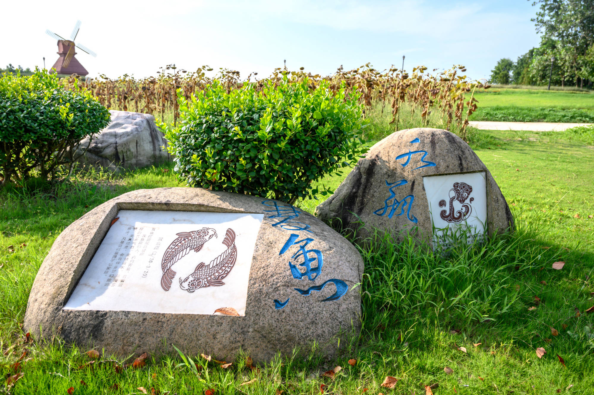 浙江上虞新晋网红打卡地660亩的海上花田景区你去过了吗