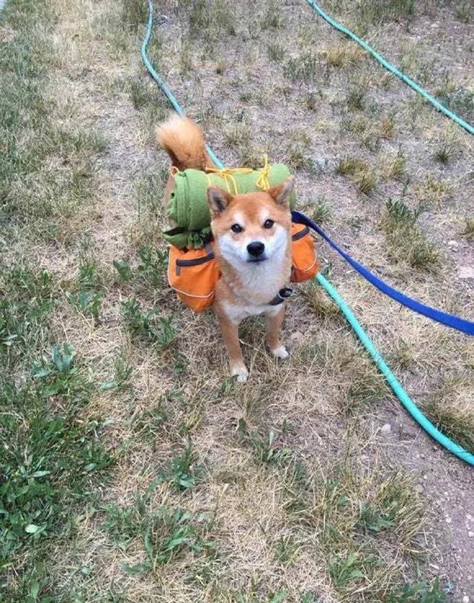 图片[22] - 【xizi被窝段子20200828】别跟往事干杯 往事都快吐了 - xizi