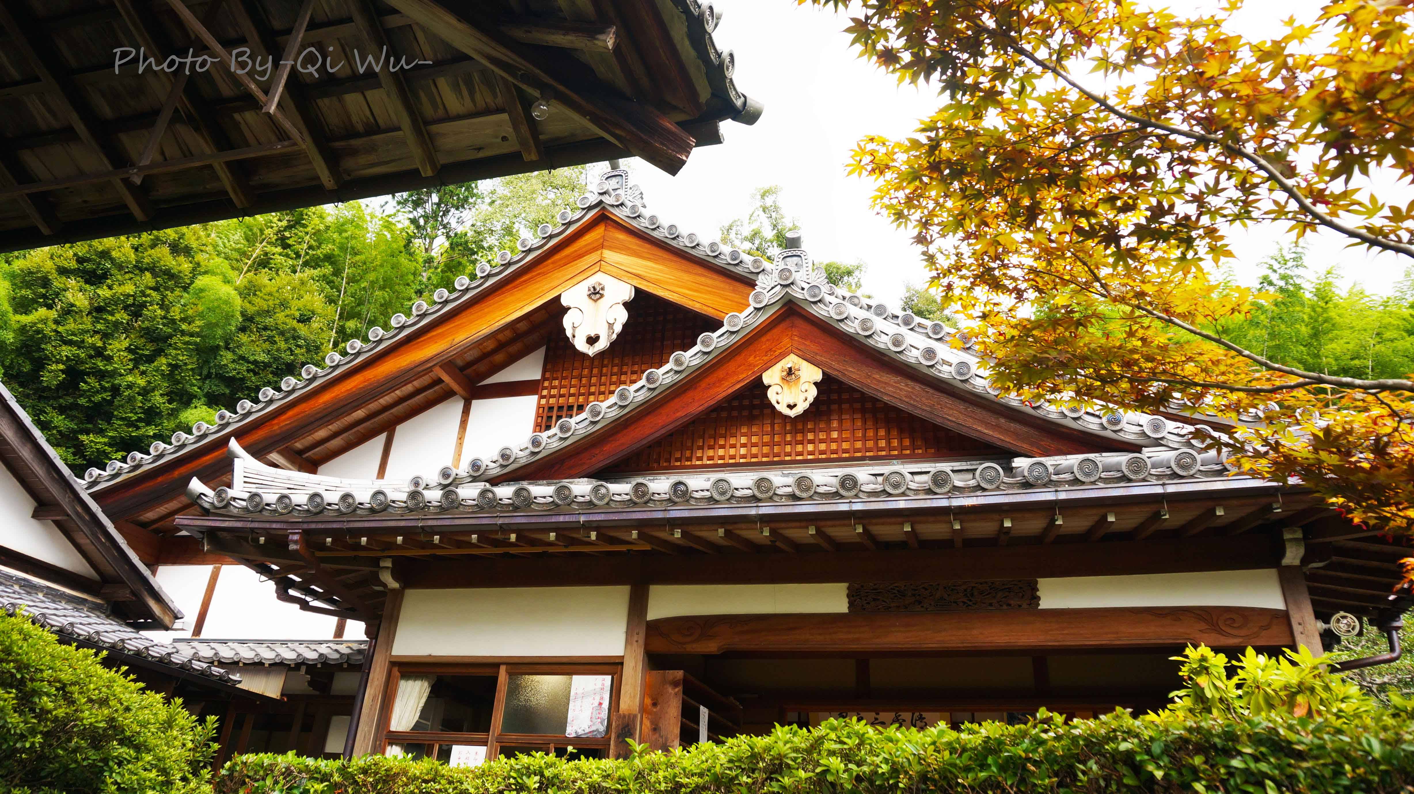 雨中游览京都岚山三寺:铃虫寺,西芳寺,地藏院——日本关西之旅2