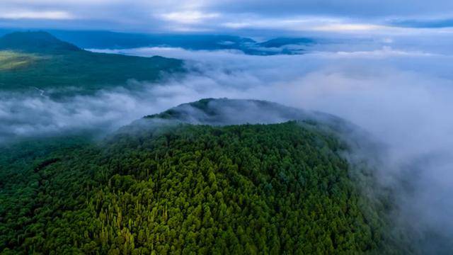 南境workface丨腾冲遍地都是宝这里是手艺人的天堂也是生意人的福地