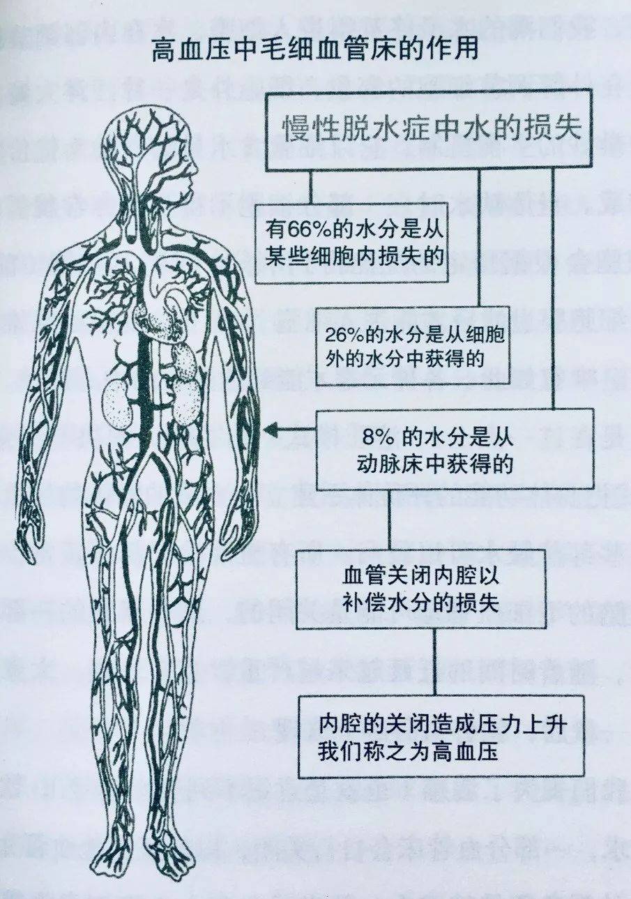 这样,它就能够保留住必需的葡萄糖,巴特曼医学博士认为:许多的疾病