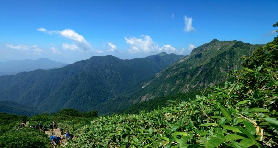 给家电企业提意见：渠道变革要从内部开始，建立大服务观！-家电圈官网