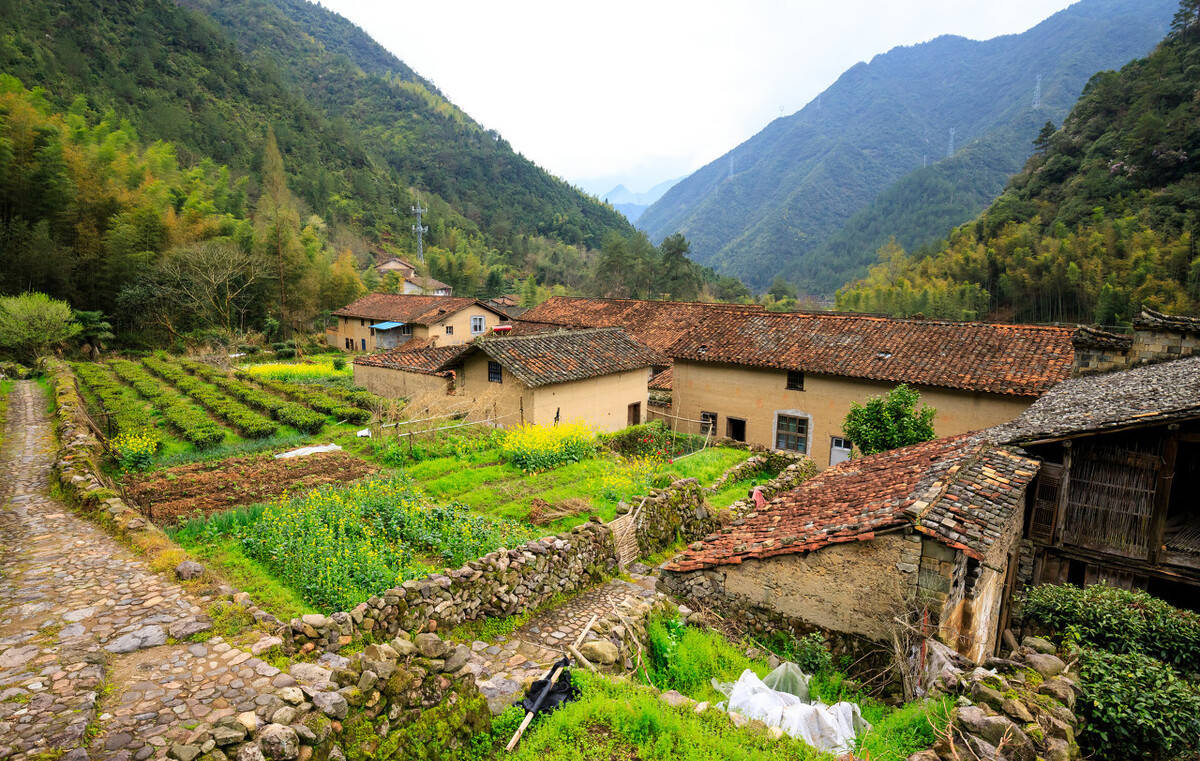 花3万块钱在鹤岗买房的小哥后来怎么样了他说不可能再买了