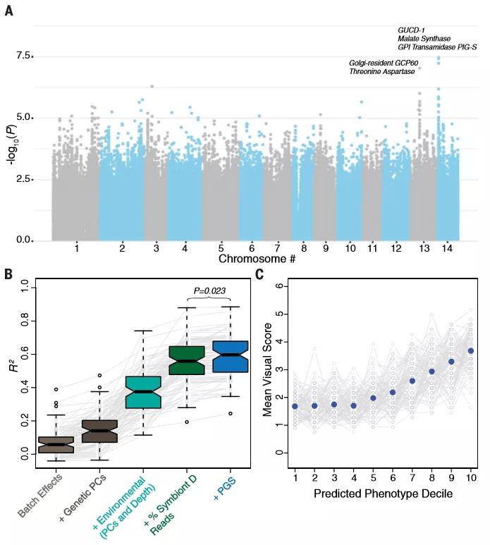 Gwas Science Science | 群体研究新思路:De novo + GWAS_基因组