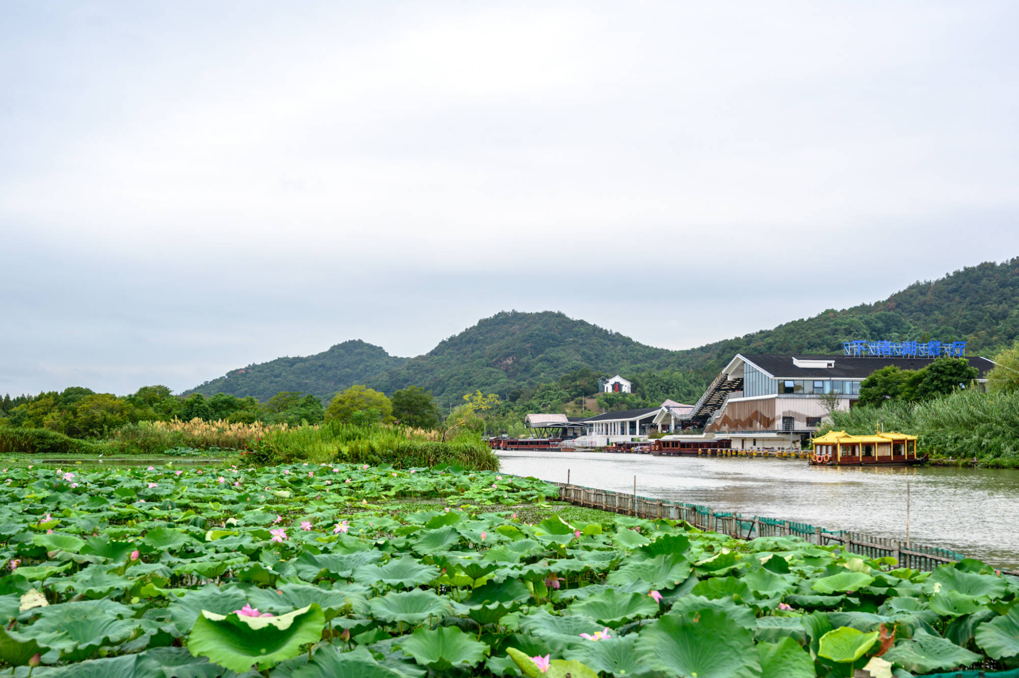 德清新晋网红打卡点零下5度的下渚湖冰雪世界一秒入冬的感觉
