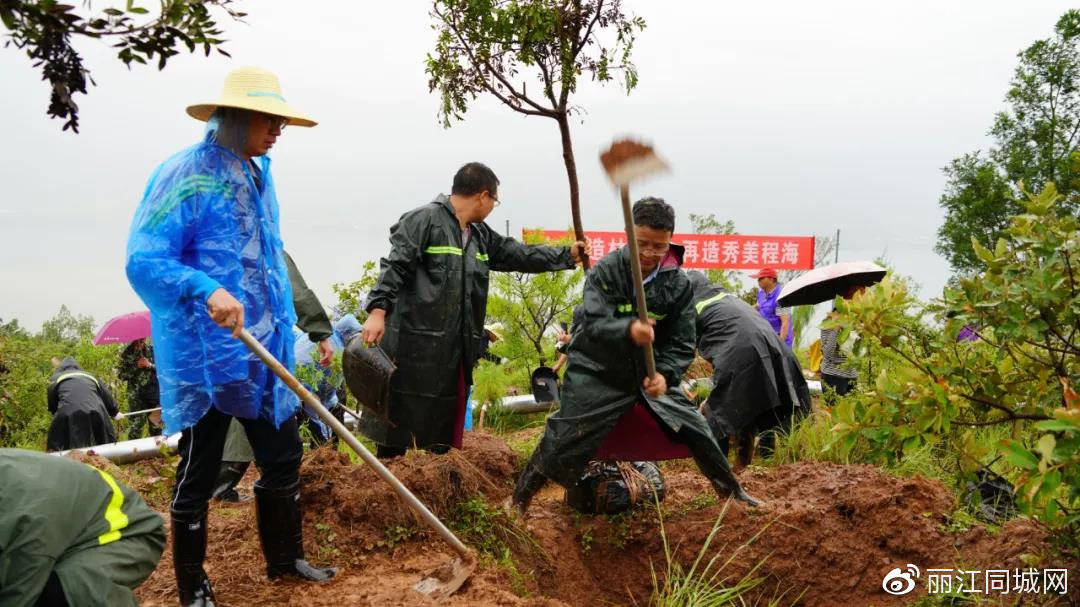8月31日,杨晓敏,魏高明,艾永祥,杨建龙等在家的县处级领导带头,县直