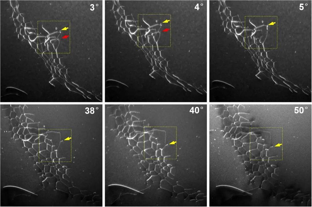 重庆大学发表顶刊综述:4d tem位错层析成像,你听过吗?