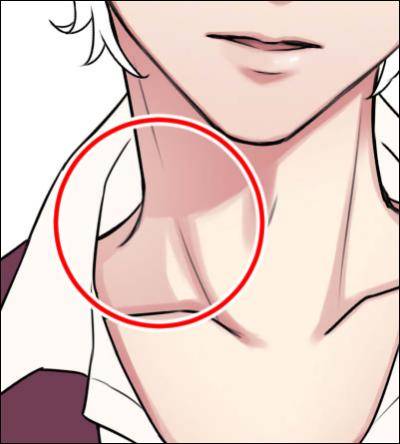 10,画锁骨创建一个新层,使用[画笔]工具→[水彩]→[透明水彩]绘制锁骨