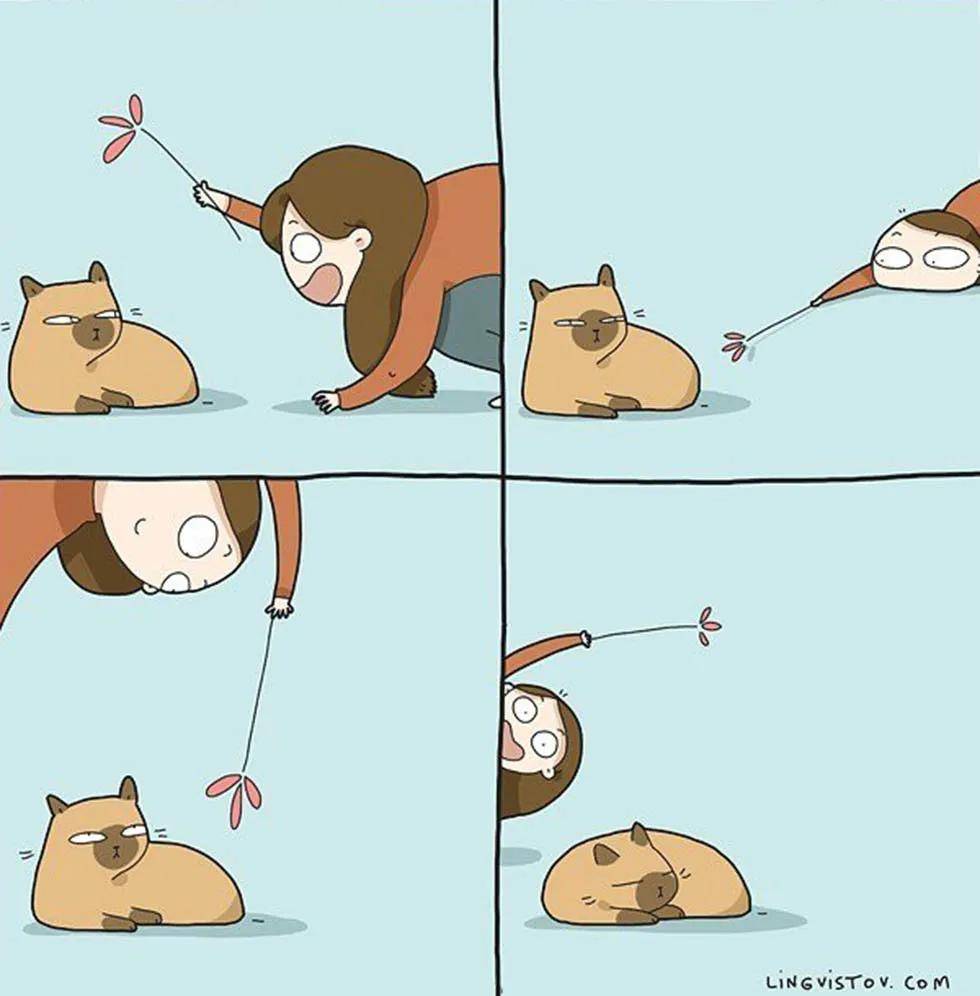 铲屎官漫画:一入猫坑深似海