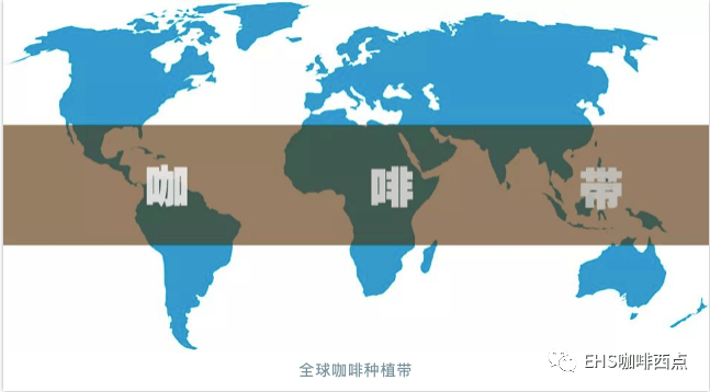 咖啡的生长需要怎样的环境?_手机搜狐网