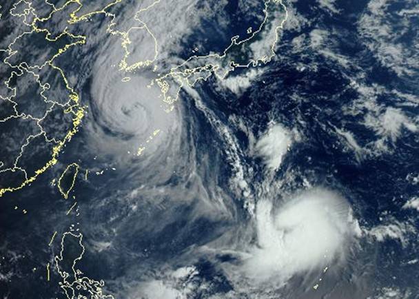 原创台风美莎克吉林过境大厦屋顶揭开大树连根拔起