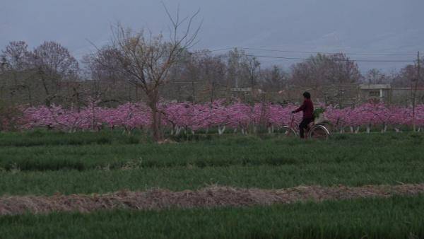 麦田守望者——看XA55记录《成长》的故事