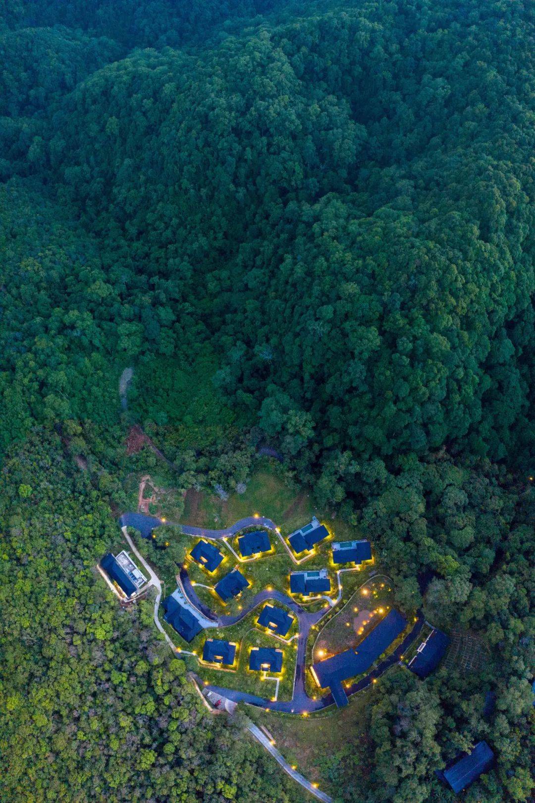普洱小熊猫庄园星月伴山酒店获中国旅游住宿业金光奖
