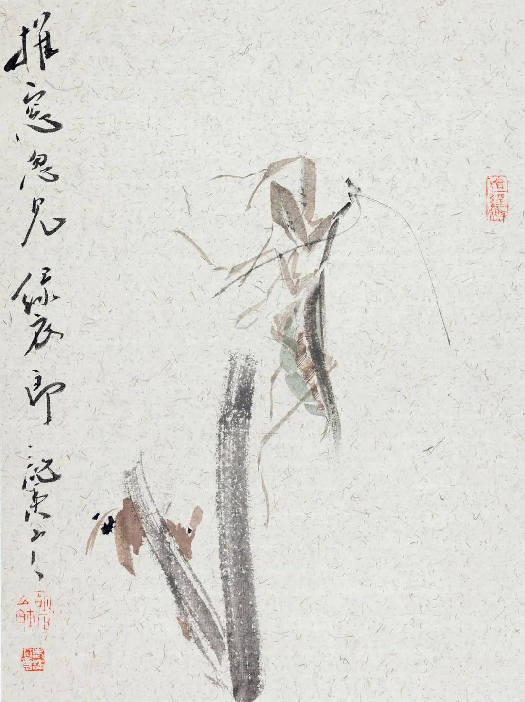 道心惟微荦荦大端胡石的草虫世界