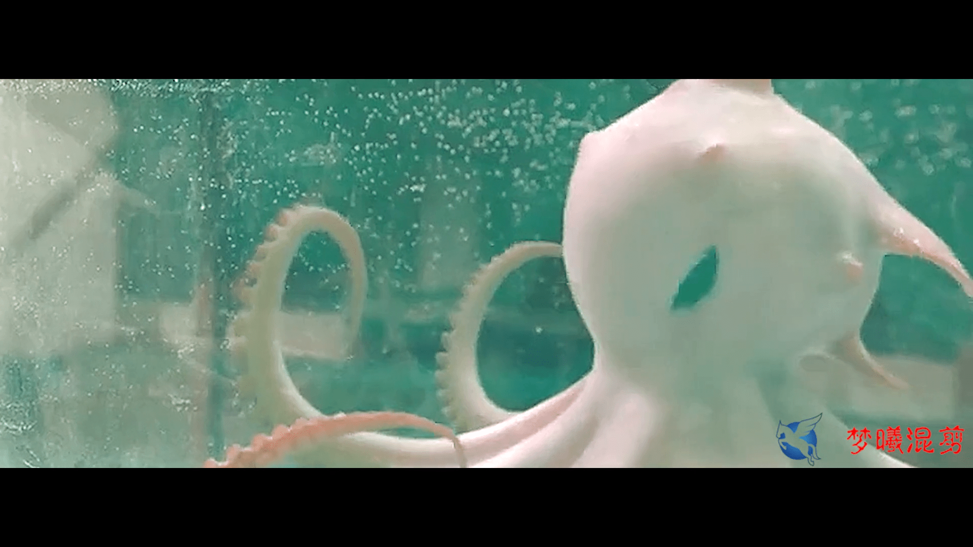 章鱼附身人类的电影图片