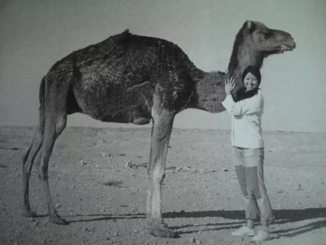 三毛与荷西的爱情,真如她书中那样浪漫?邻居:都是她一厢情愿