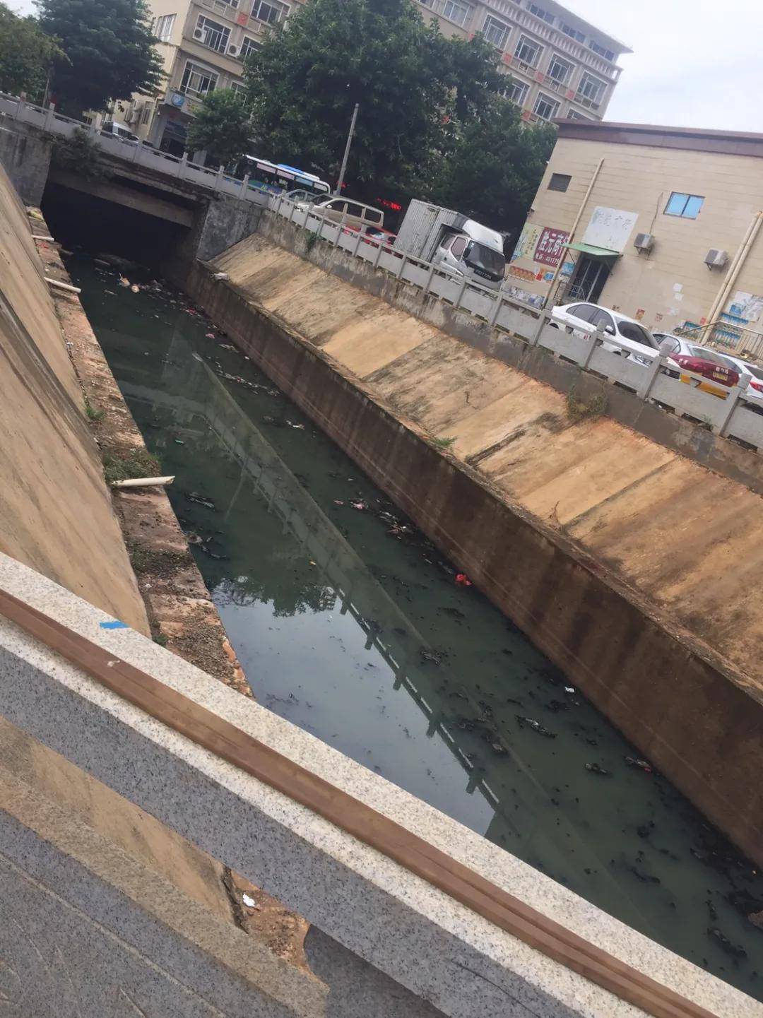徐闻河流现"一潭死水"