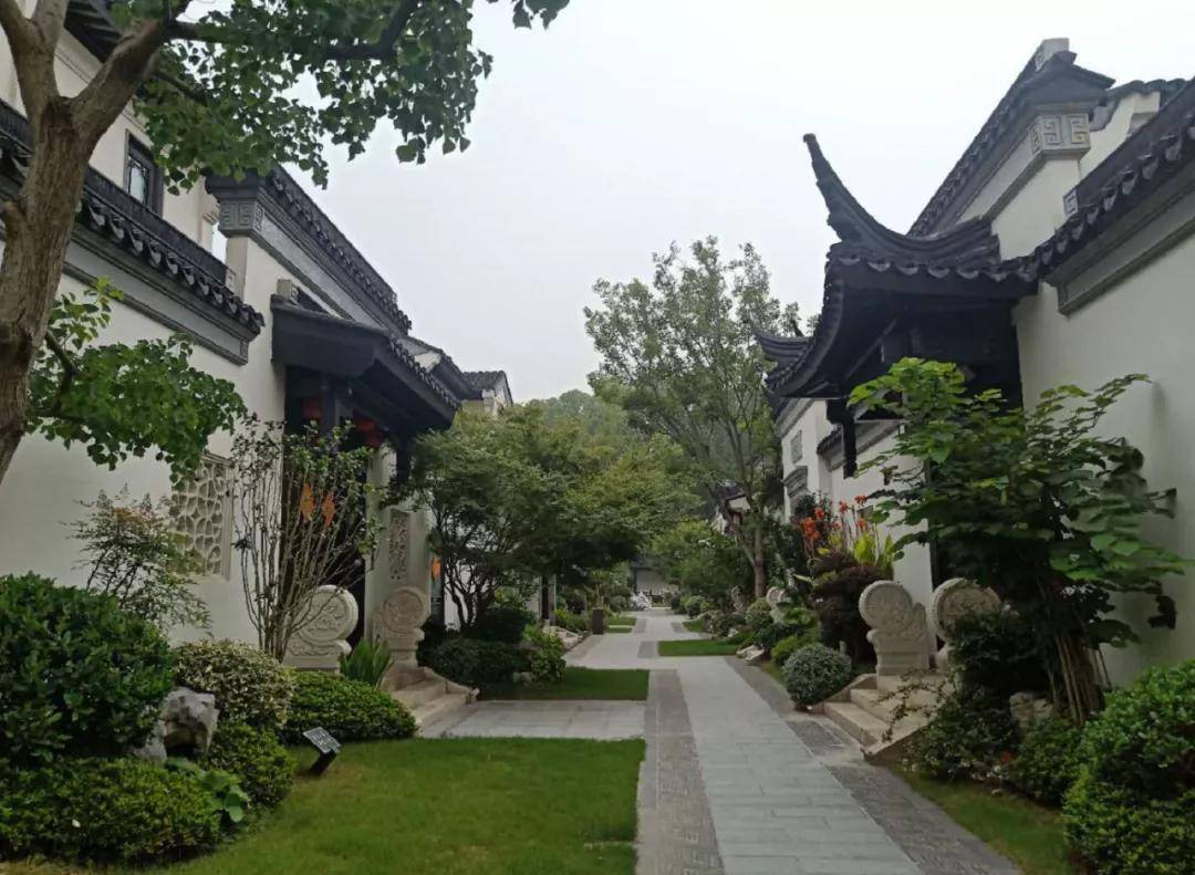 蓝城拍了拍你结果惊到了全宿迁