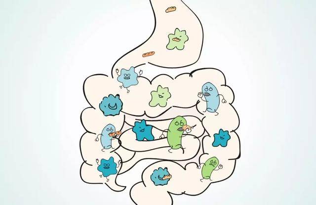 因微,專注人體微生態健康管理,帶你探索腸道微生物的健康奧秘.