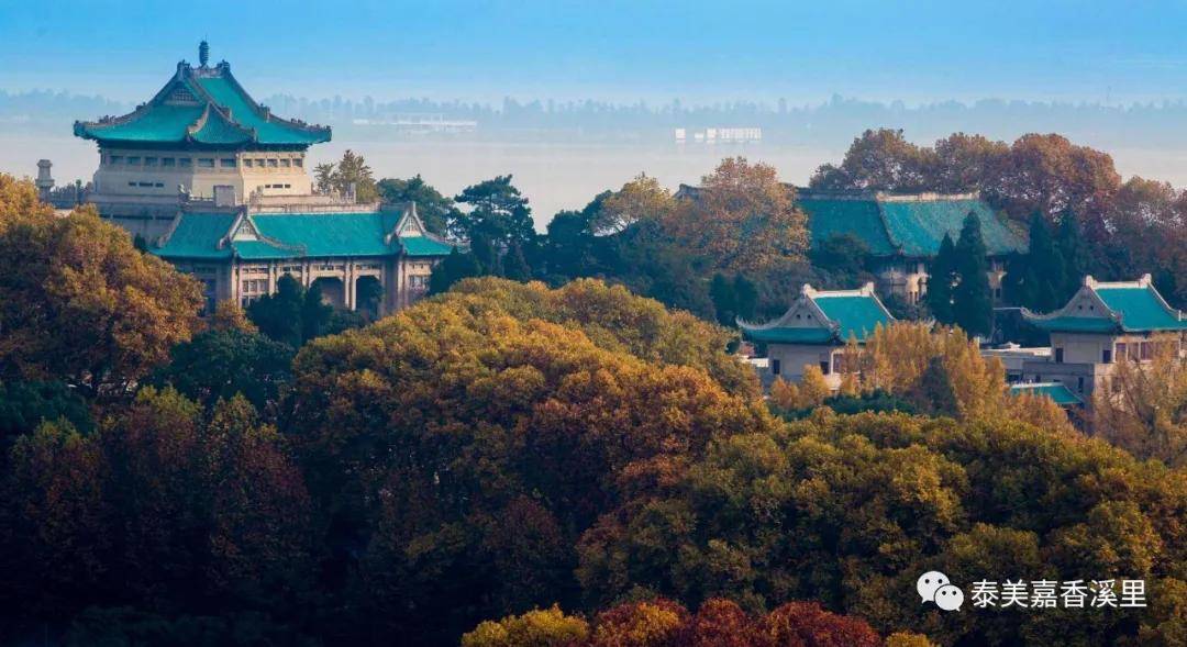 泰美嘉香溪里,南阳"大学城"落地,城市人文名片诞生!