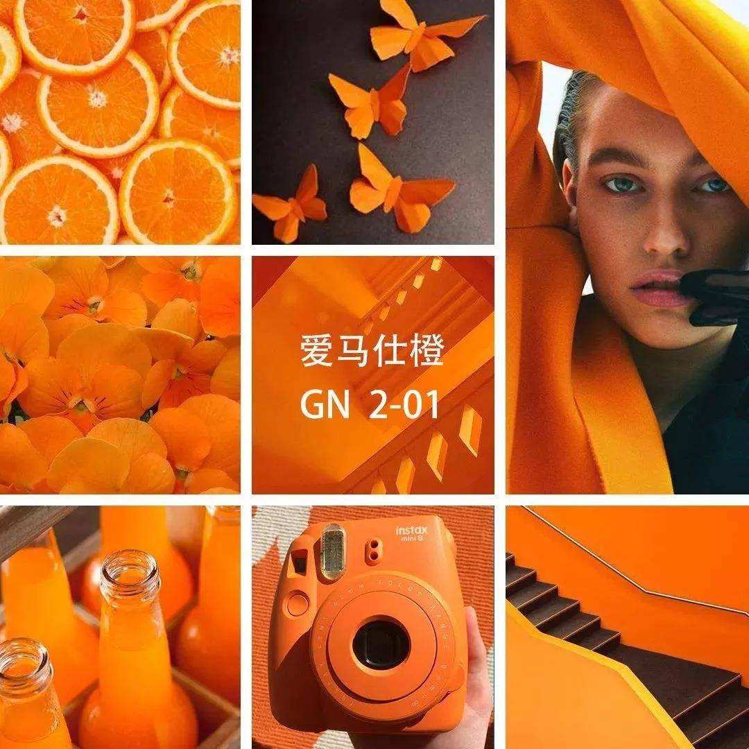 引领浴室潮流风向 大理石纹地砖上墙 按黄金比例 搭配爱马仕橙色墙面