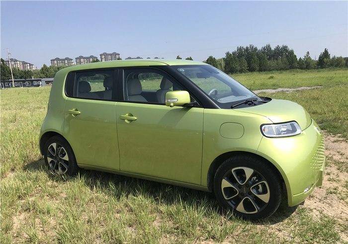 教师节收到完美礼物,我的可爱"白猫"!