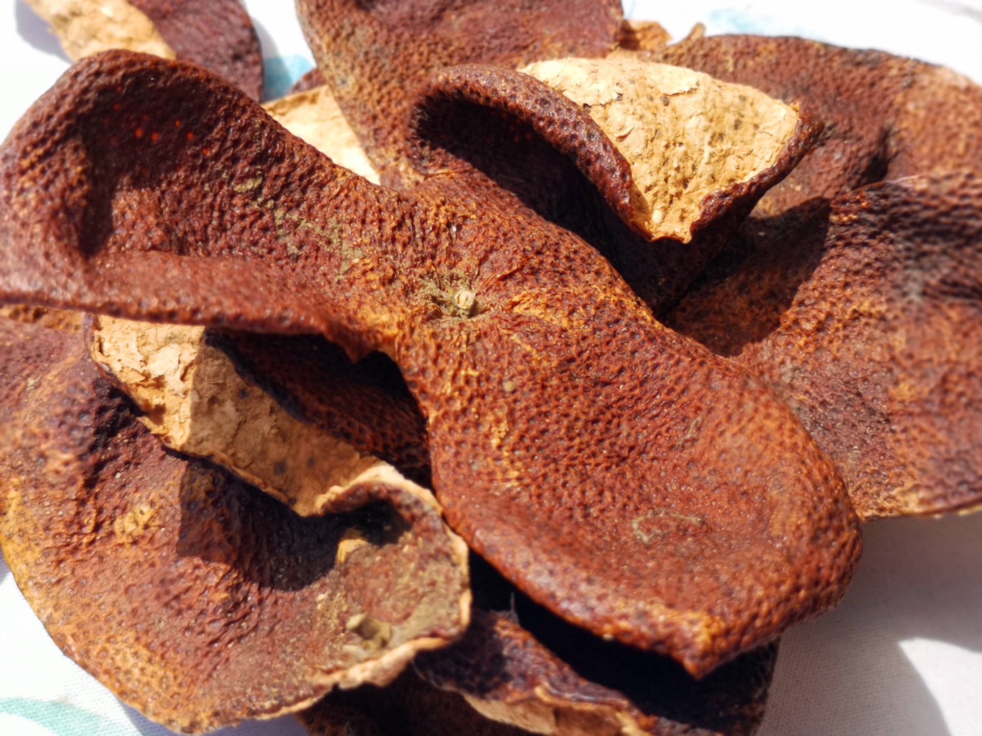 收藏新会陈皮要定期打理,不能一藏了之_中药