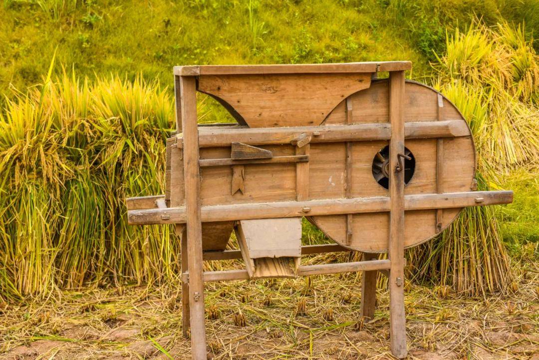 稻田滑梯,原宿帐篷,田园牧歌…带你邂逅重庆版的"世外桃源"!-搜狐大视