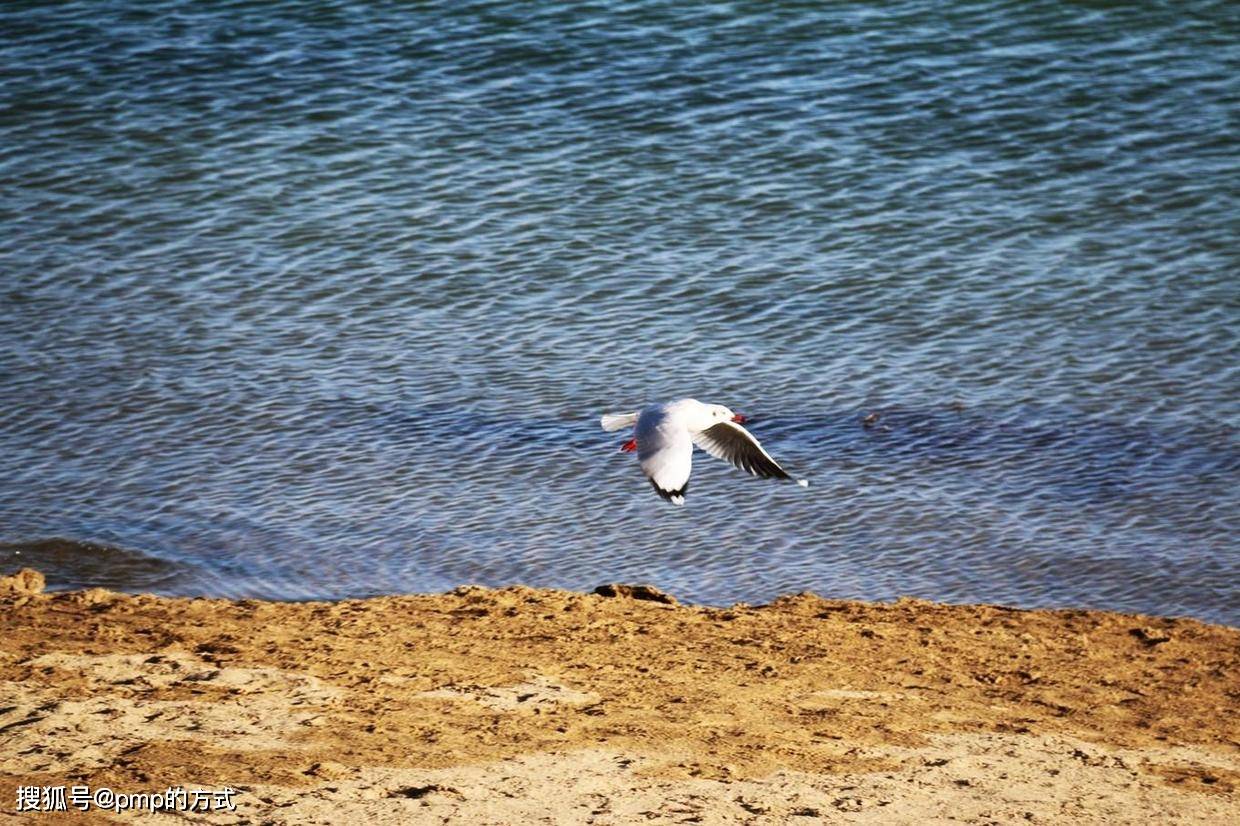 乌素特水上雅丹