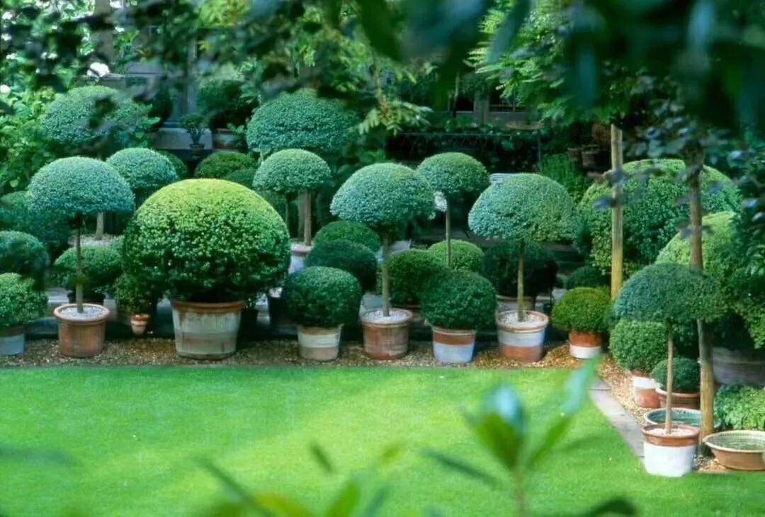 园林界的tony才是造型师中的战斗机