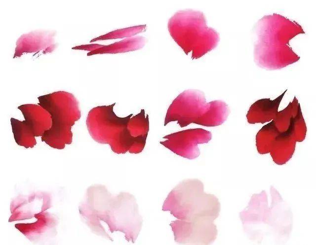 牡丹花头和花叶的三十种画法,学画牡丹不用愁!_花瓣