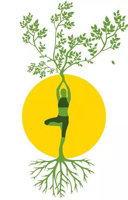 脾虚,这样站站就能调_树式