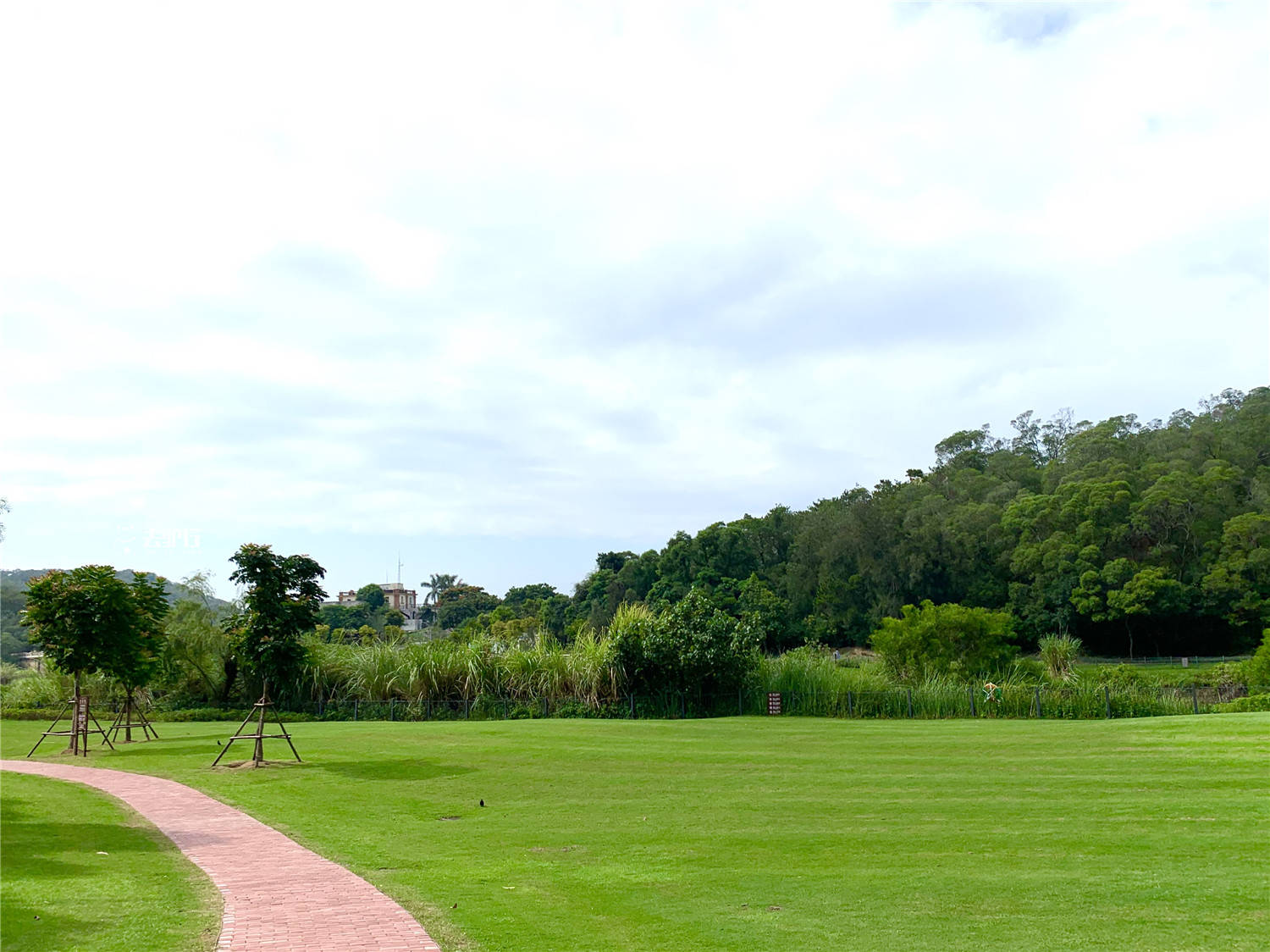 原创厦门新晋网红公园:曾被圈地划为高尔夫球场,如今吸引游客来打卡