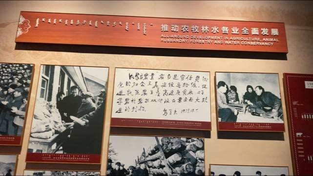 内蒙古自治区启动第37个民族团结进步活动月