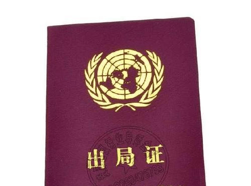 1040传销人员老总的生活上平台那一天是这样的没有兴奋只有悔恨