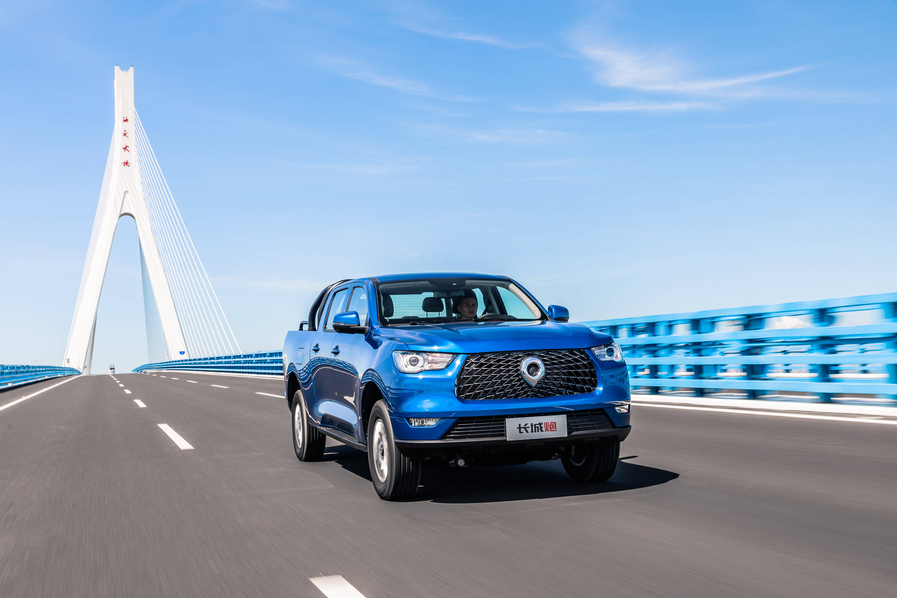 但有片云生海口,长城皮卡正流行