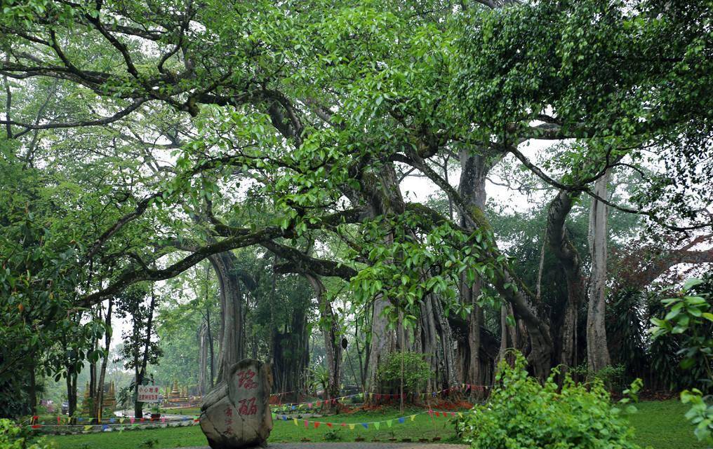 好奇,一个寨子两个国家这一特殊的景观,国境线将一个傣族村寨一分为二
